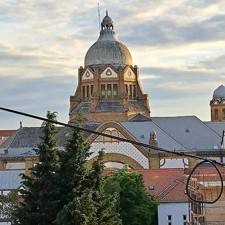 Synagogue View * Novi Sad